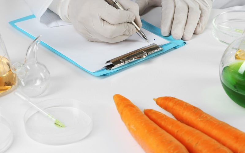 Scientist examines carrots in laboratory
